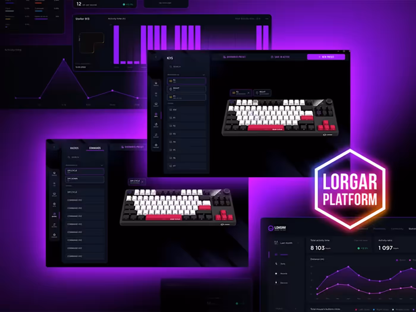 LORGAR Platform software interface for keyboard customization