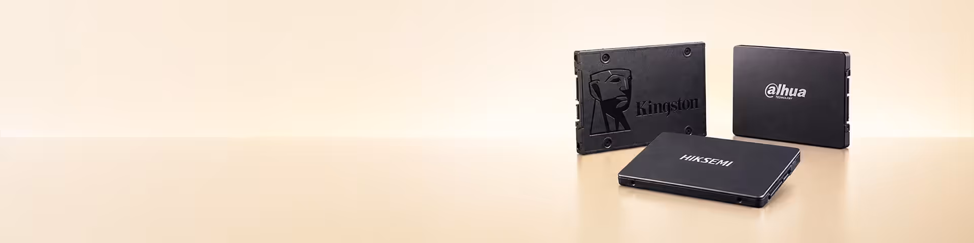 2.5-Inch SSDs