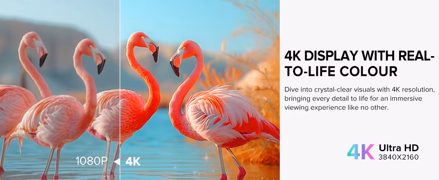 Saturated colour image displayed on the QLED panel