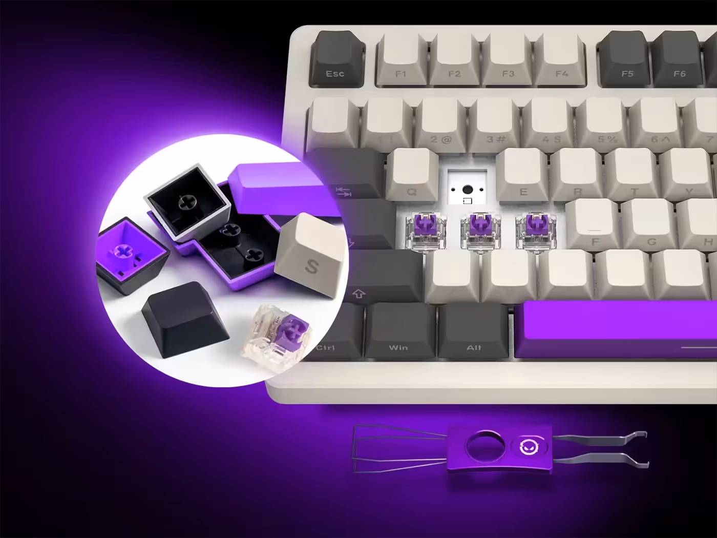 Hot-swappable keyboard socket showing switch replacement mechanism