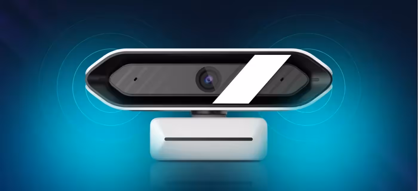 Stereo microphones capturing audio up to 3 meters distance