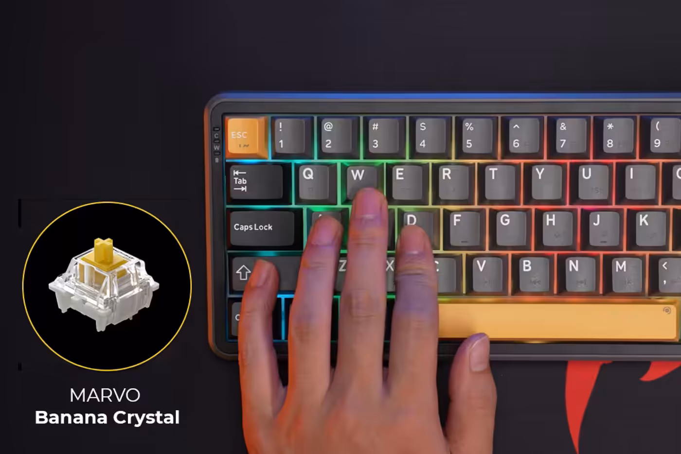 Hot-swappable switch sockets and Banana Crystal Linear Switches demonstration