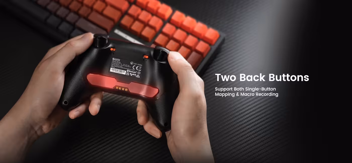 Two macro back buttons on the rear of the Champions Edition controller