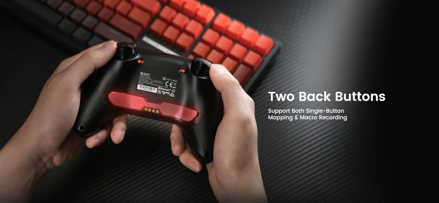 Two macro back buttons on the rear of the Champions Edition controller
