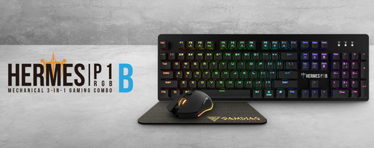 Gamdias Hermes P1B RGB Gaming Combo Overview
