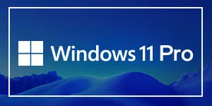 Windows 11 Pro