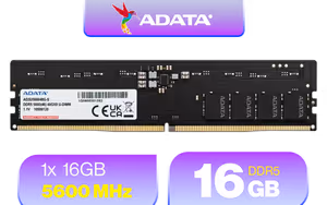 adata-premier-16gb-ddr5-5600-ad5u560016g-b adata-premier-16gb-ddr5-5600-ad5u560016g-b - Image 1