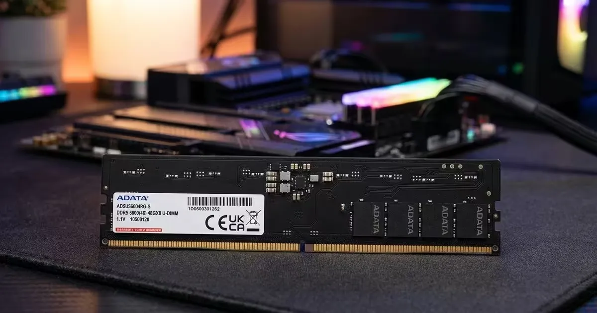 ADATA Premier AD5U560016G-B 16GB DDR5 5600 Desktop RAM | Evetech