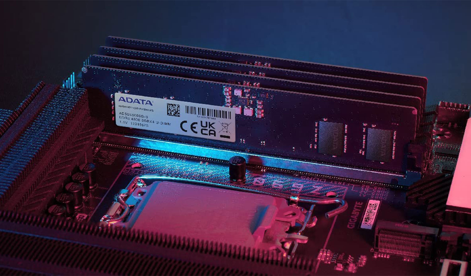 ADATA Premier 32GB 4800MHz DDR5 Memory - Best Deal - South Africa