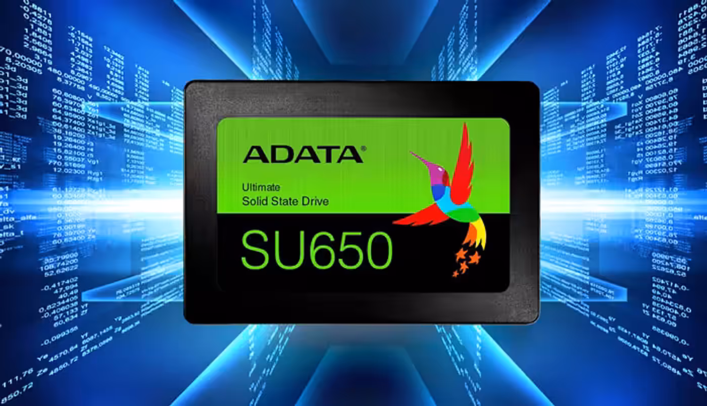 Error correction technology diagram for the ADATA SU650 SSD