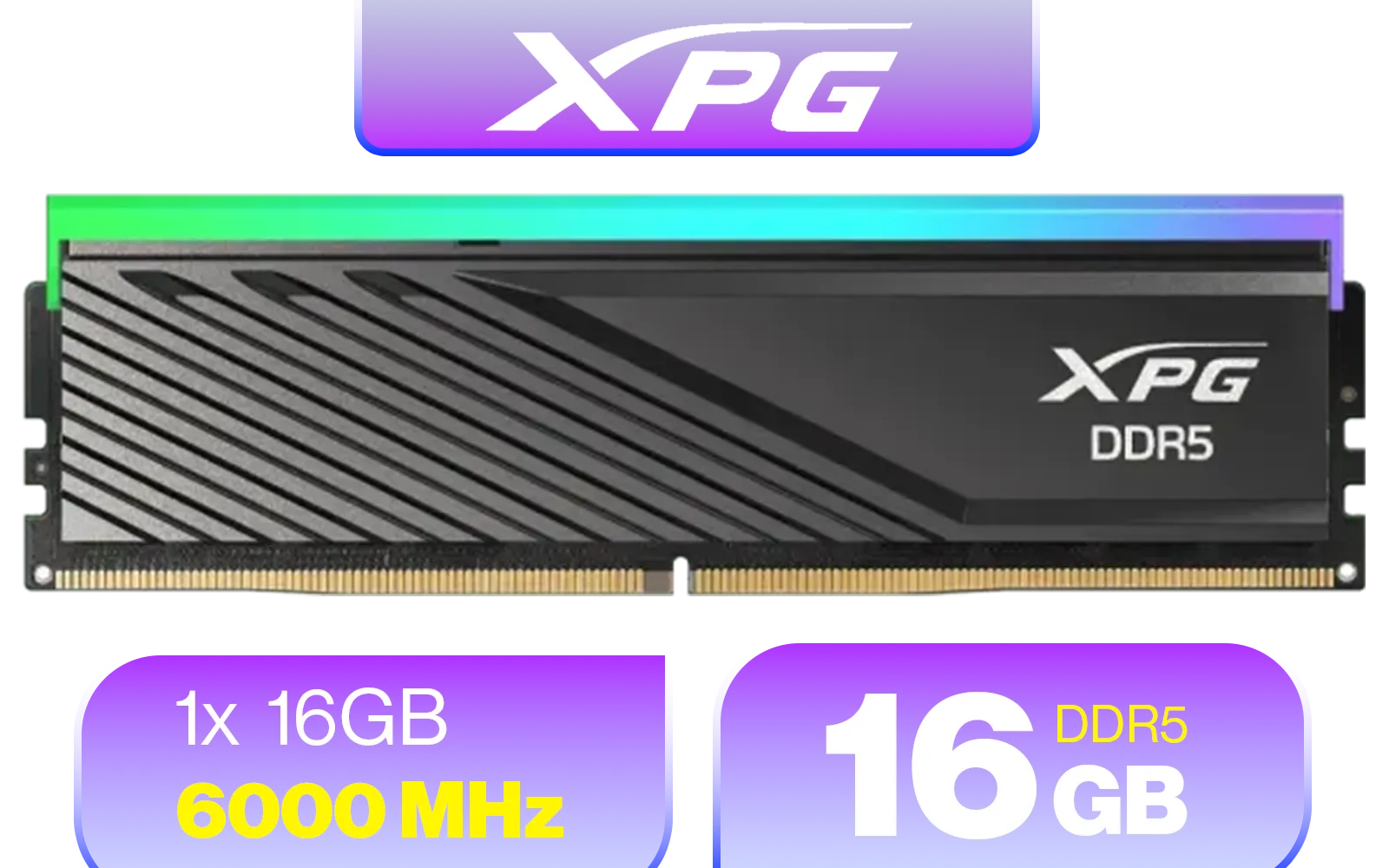 Shop Top DDR5 RAM Deals