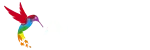 Adata XPG