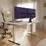 arozzi-alzare-neo-duo-purple-monitor-arm-gallery-1000px-v0005.webp