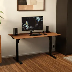 Gallery image 7