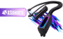 asiahorse-hydrus-argb-24-pin-extension-cable-black-type-l-main-1600px-v02.avif