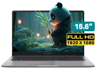 Asus ExpertBook P1 P1503CVA