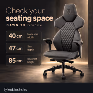 noblechairs Dawn TX Granite Gaming & Office Chair - Lumbar Support - image 3