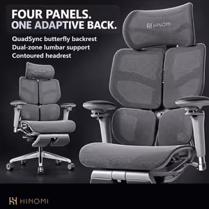 Hinomi X2 Pro Ergonomic Chair — 4-Panel Back, 6D Arms - image 4