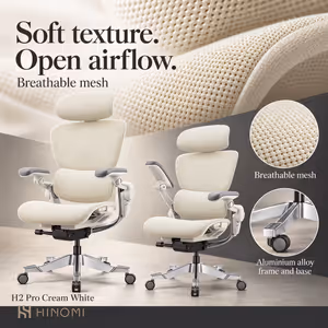 Hinomi H2 Pro Ergonomic Office Chair — Lumbar, 6D Arms - image 6