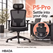 HBADA P5-Pro Black Office Chair With 2D Lumbar Support - image 2