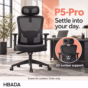HBADA P5-Pro Black Office Chair With 2D Lumbar Support - image 2
