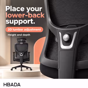 HBADA P5-Pro Black Office Chair With 2D Lumbar Support - image 4