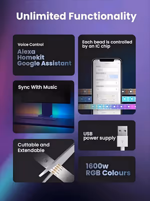 Gallery image 12