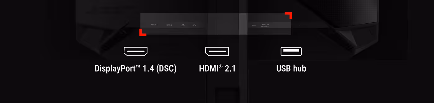 Monitor rear panel showing DisplayPort HDMI and USB connectivity