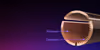 Thumbnail 19