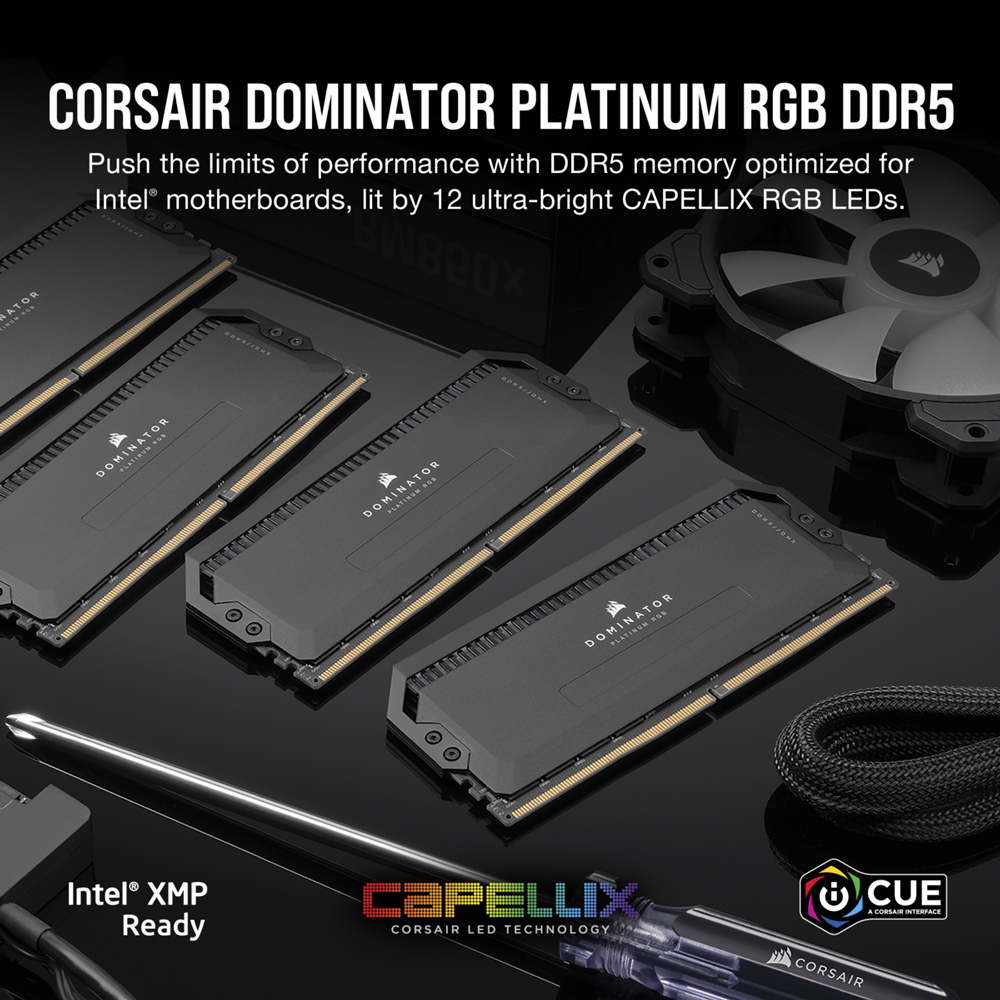 Corsair Dominator Platinum RGB 32GB DDR5 5600MHz - Best Deal