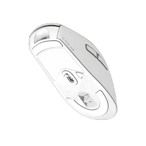 Gallery image 12