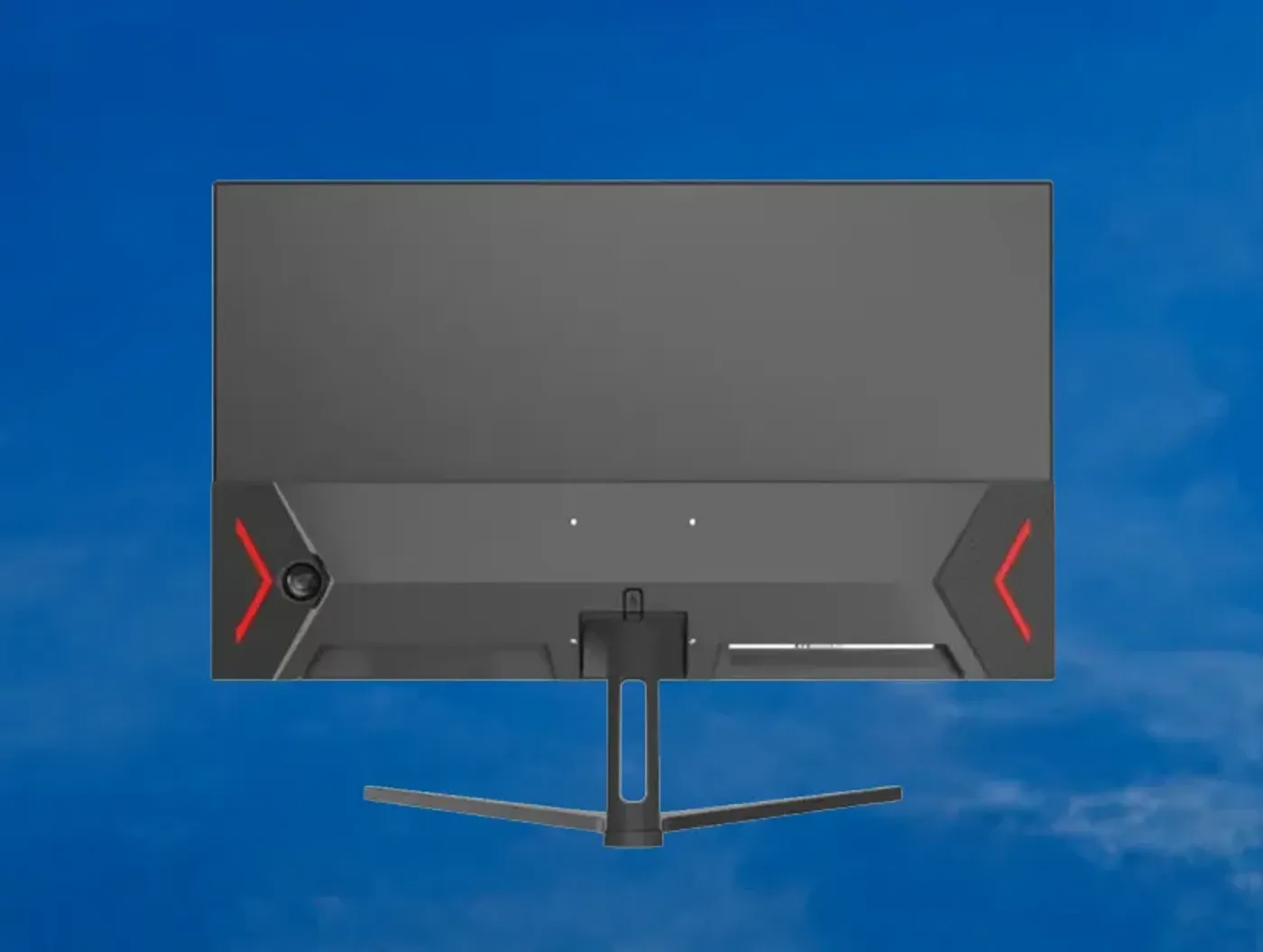 Rear connectivity panel of the QHD monitor showing dual DisplayPort and dual HDMI inputs