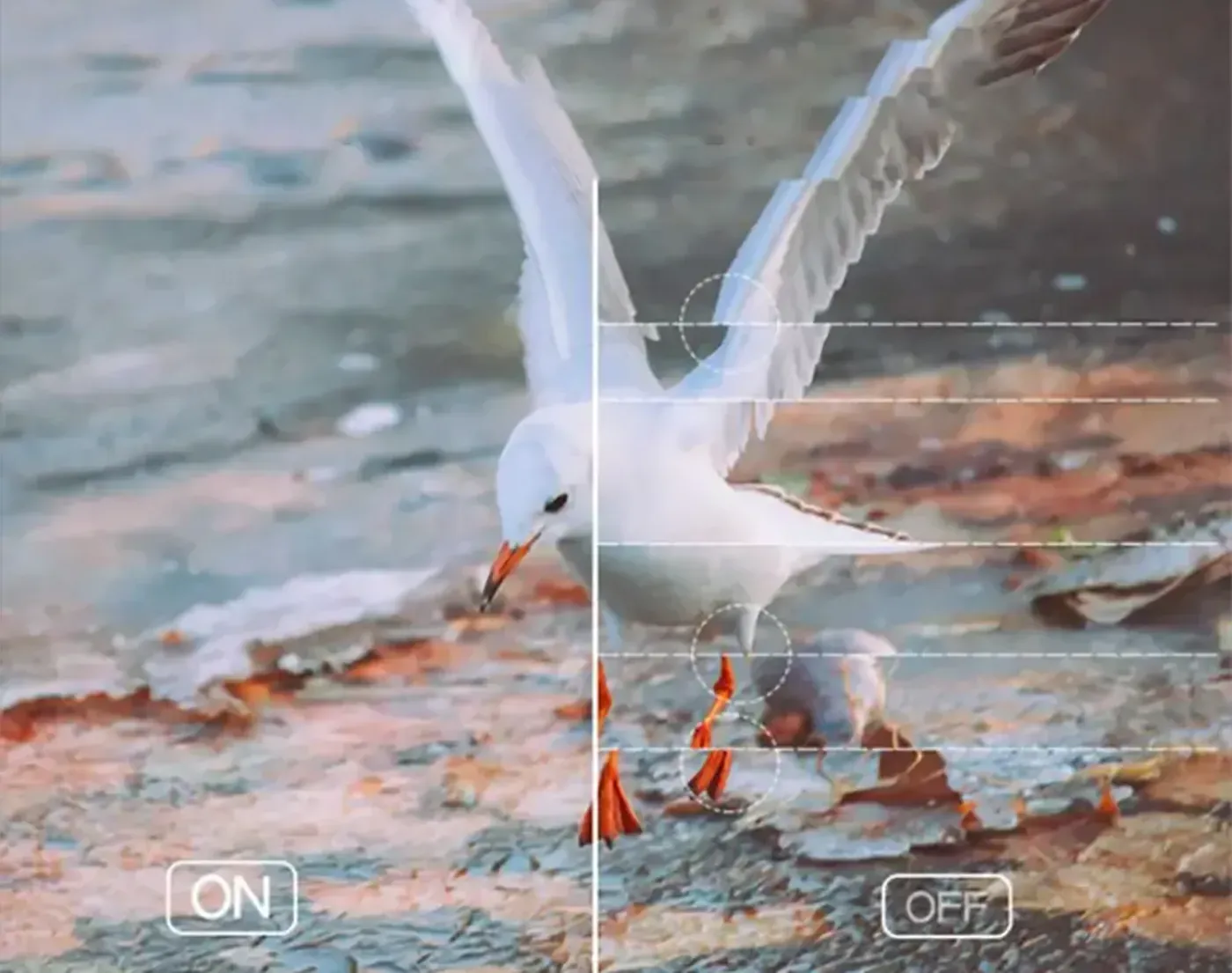 Adaptive-Sync technology active on the DAHUA monitor to prevent screen tearing