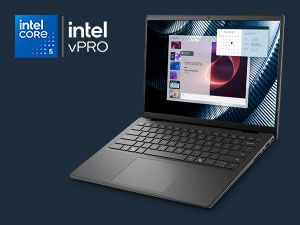 Dell Pro Essential 14 PV14250 16GB/512GB