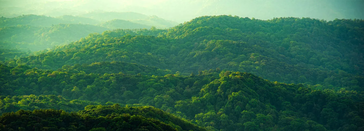 Rear View of Dell SE2425H Monitor