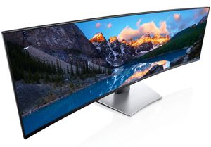 Gallery image 8