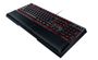 destiny-2-razer-ornata-chroma-gaming-keyboard-1000px-v1-0002.jpg