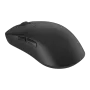 endgame-gear-op1we-wireless-gaming-mouse-black-2000px-v0002.webp
