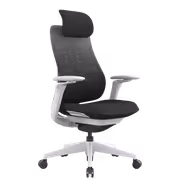 Enova Archer EAH-001A-HS Office Chair — Adjustable Comfort - image 4