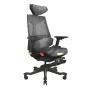 enova-blooddragon-bls-gaming-chair-gold-1500px-v0002.webp