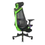 enova-blooddragon-bls-gaming-chair-green-1500px-v004.webp