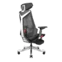 enova-blooddragon-bls-gaming-chair-silver-1500px-v004.webp