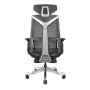 enova-blooddragon-bls-gaming-chair-silver-1500px-v005.webp