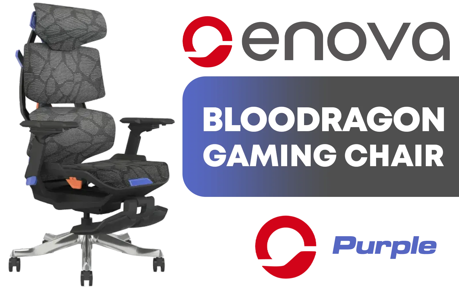 enova-bloodragon-bxz-gaming-chair-purple-1600px-v1.webp