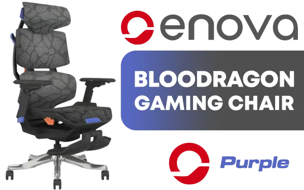 enova-bloodragon-bxz-gaming-chair-purple-1600px-v1.webp