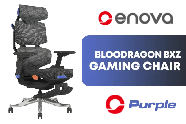 enova-bloodragon-bxz-gaming-chair-purple-gaming-chair-1500px-v2.webp