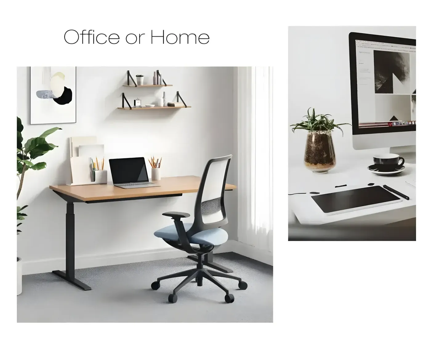 Enova Hug Office Chair showing its supportive backrest and simple silhouette