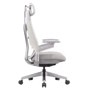 Enova Vector EVE-001A-HS Office Chair — Adjustable Comfort - image 2