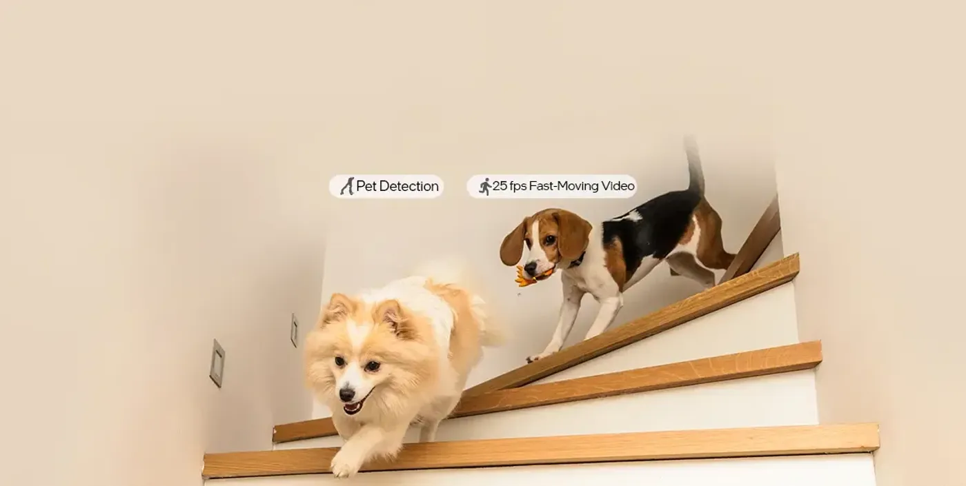 EZVIZ C6 indoor camera detecting a pet moving across a living room