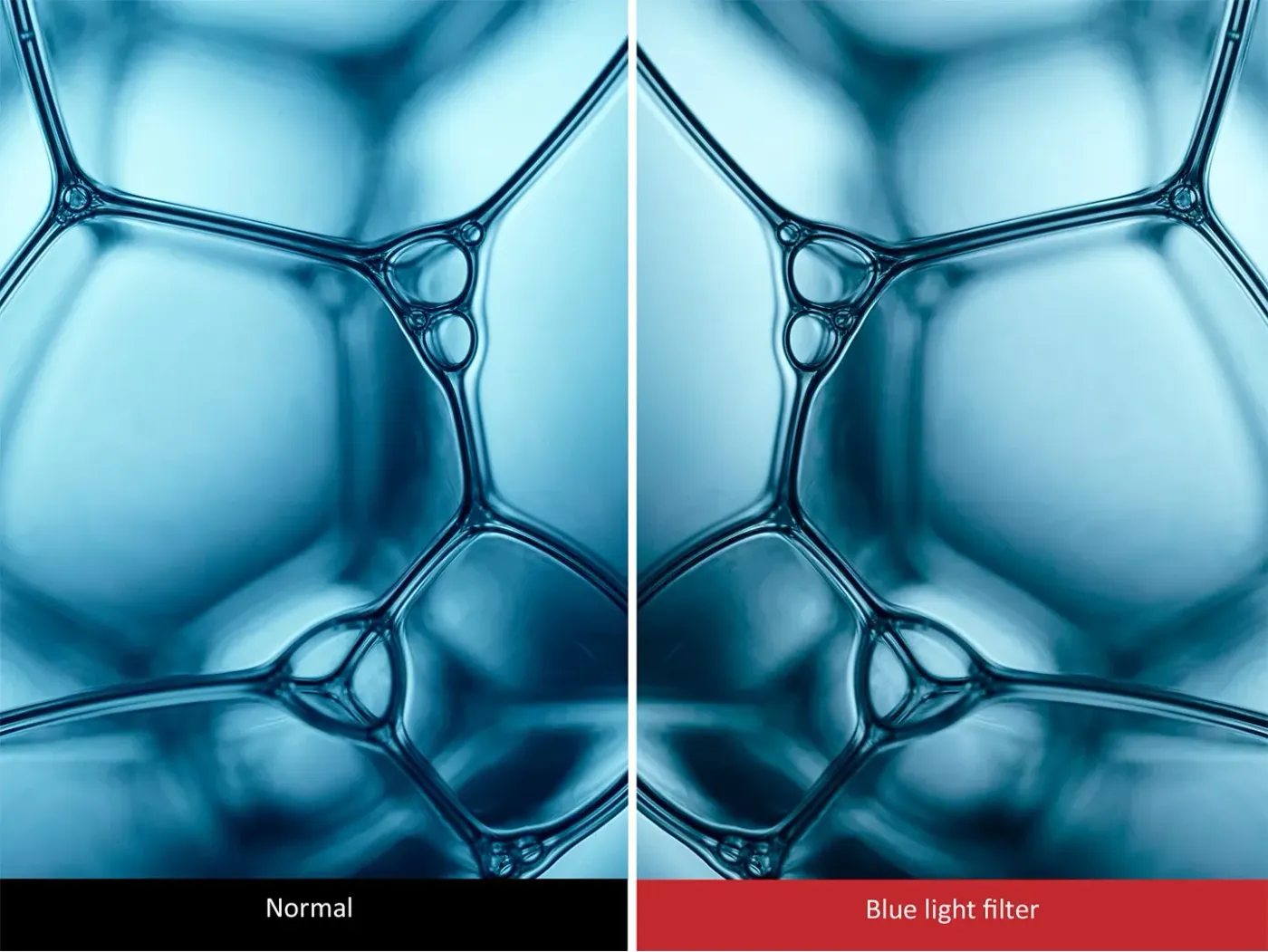 Blue light filter and flicker-free technology reducing eye strain during extended usage